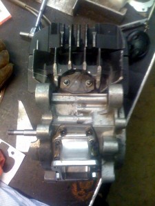 photo41